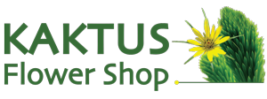 Kaktus Flower Shop